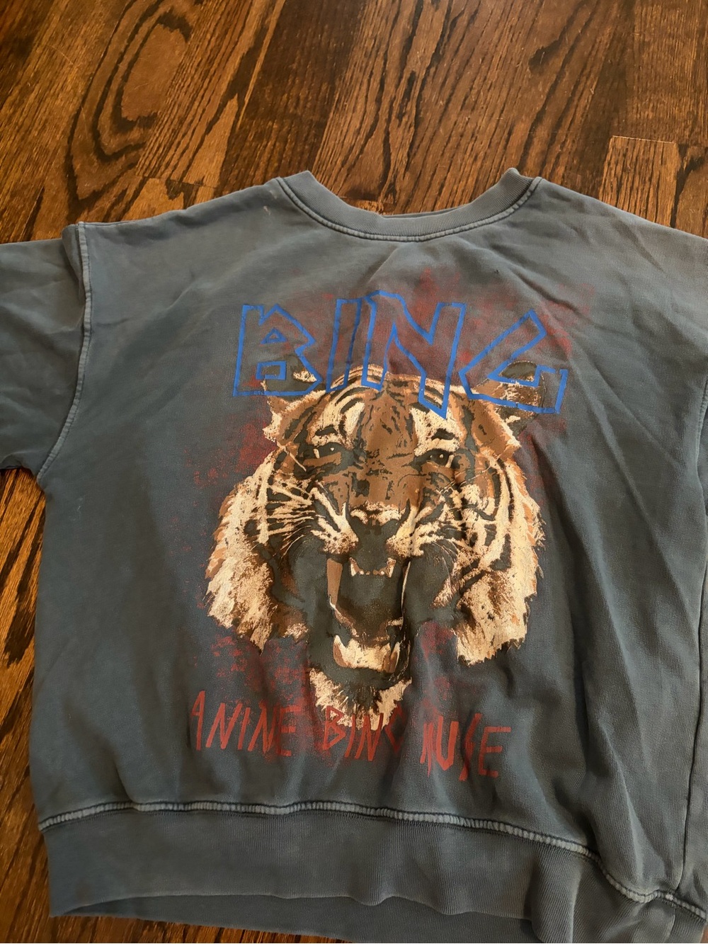 Anine bing  Blue Graphic Tiger Sweatshirt